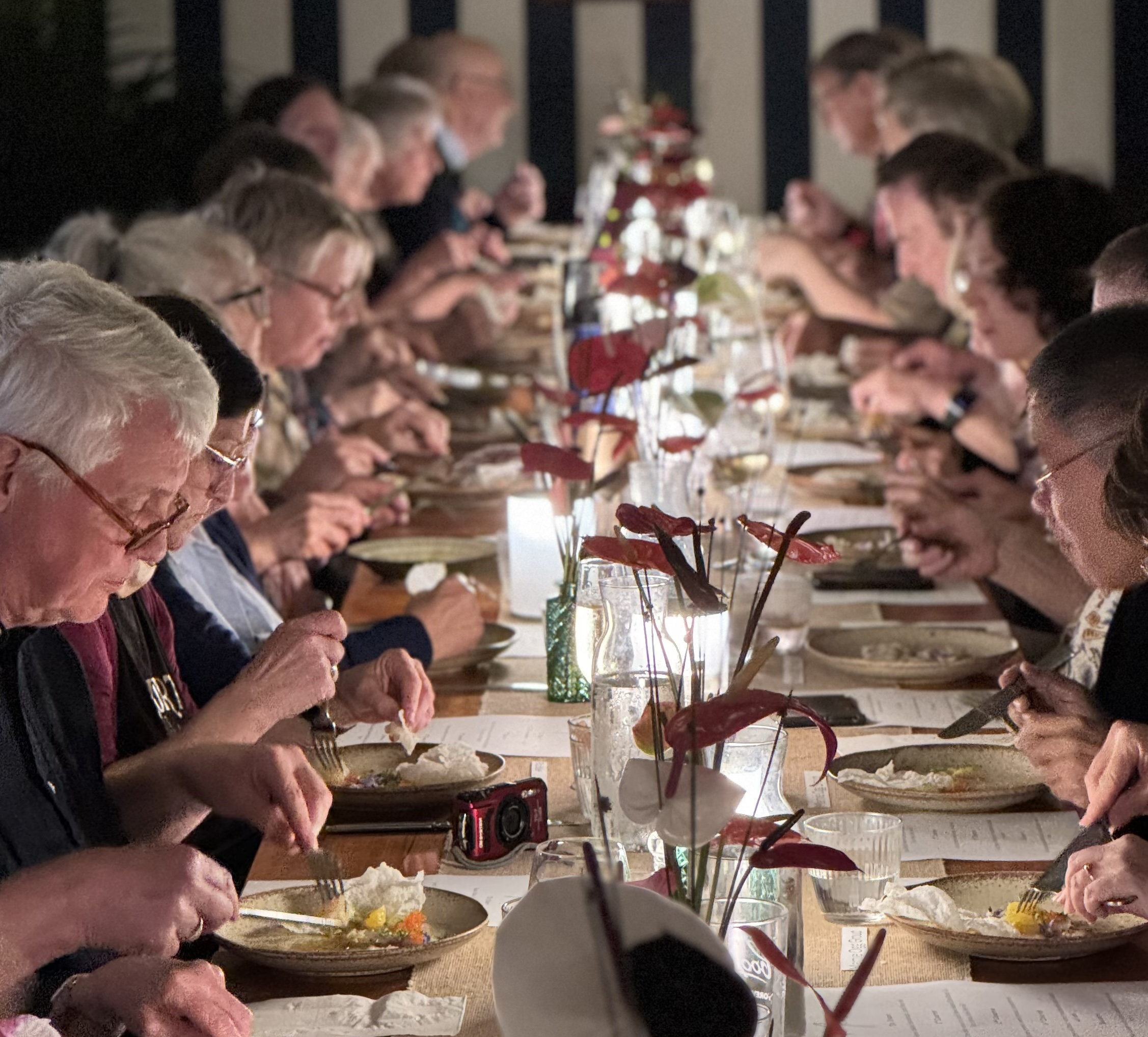 Twilight Botanica<br>Dining Experience